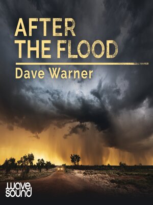 cover image of After the Flood